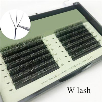 W Prodlužování řas